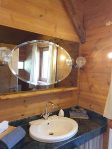 a bathroom with a sink and a mirror at Koanzhaus, Troadkasten in Franking