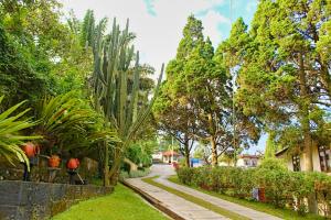 Kebun di luar The Jayakarta Cisarua