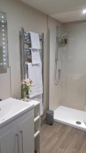 ein weißes Bad mit einer Dusche und einem Waschbecken in der Unterkunft The Old Forge in Totnes