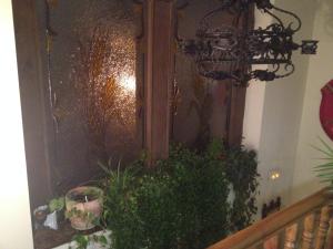 Zahrada ubytování Hotel Las Fuentes
