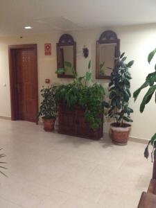 Fotografie z fotogalerie ubytování Hotel Las Fuentes v destinaci Torrecaballeros