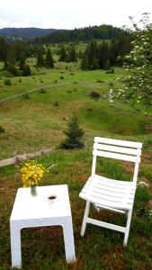 a white chair and a table in a field at VILA ZORANA in Bajina Bašta