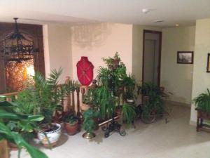 Fotografie z fotogalerie ubytování Hotel Las Fuentes v destinaci Torrecaballeros