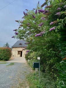 ボジェにあるLe Logis de la Chouetteの紫花の茂み