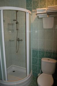 W łazience znajduje się prysznic, toaleta i umywalka. w obiekcie Inkaro Kaimas w mieście Nida