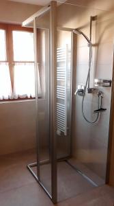 プルツにあるApartment Turalaのバスルーム(ガラスドア付きのシャワー付)