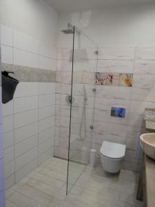 uma casa de banho com um chuveiro, um WC e um lavatório. em Egria Apartments em Eger