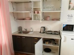 Kuchyňa alebo kuchynka v ubytovaní Flamingo Apartments