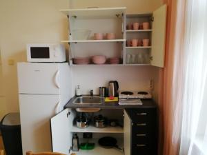 Kuchyňa alebo kuchynka v ubytovaní Flamingo Apartments