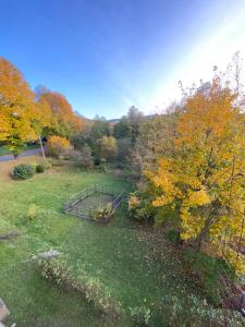 an aerial view of a park in the fall at Countryside Retreat in Janowice Wielkie