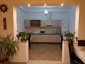 een grote keuken met houten kasten en apparaten bij Casa Eldorado in Sovata