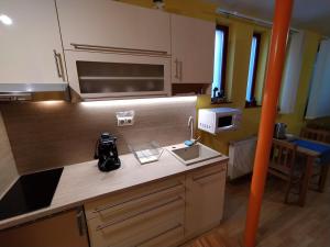 ペーチにあるKeltaur Studio Apartman with garageのキッチン(カウンター、電話付)