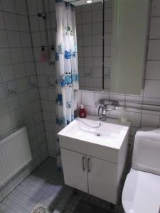 a bathroom with a sink and a toilet and a mirror at LappeanLohi in Lappea +80 photos