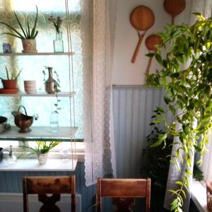pokój z 2 krzesłami i stołem z roślinami w obiekcie Foggy Island B&B w mieście Kaskö