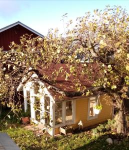 uma pequena casa amarela com uma árvore em frente em Foggy Island B&B em Kaskö