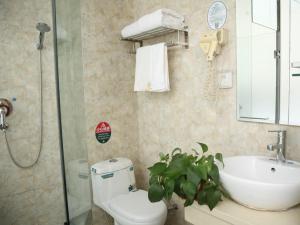 a bathroom with a toilet and a sink and a shower at GreenTree Alliance ZhangJiaKou Jingkai District Weisan Road Jiye Hotel in Zhangjiakou