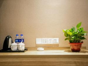 a shelf with a potted plant and bottles of water at Shell Hefei Changjiang West Road Nangang Subway Station Hotel in Hefei