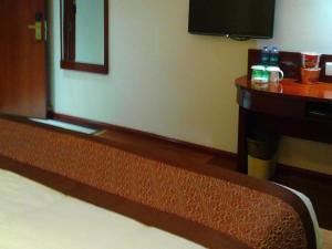 GreenTree Inn AnHui LuAn HuoQiu JianXing Road Express Hotel TV 또는 엔터테인먼트 센터