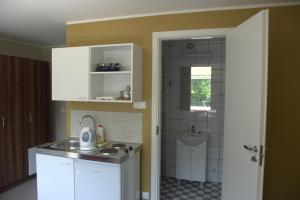 a small kitchen with a sink and a shower at Hiiumaa Ametikooli Accommodation in Suuremõisa