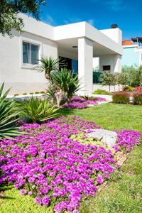 Afbeelding uit fotogalerij van Villa VinSun in Vinišće