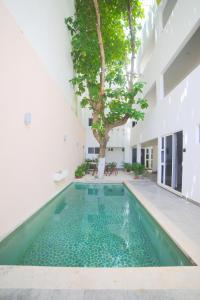 una piscina en el patio de un edificio con un árbol en Almond Suites en Playa del Carmen