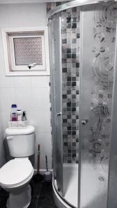 ein Badezimmer mit Toilette und Glasdusche in der Unterkunft Departamento Kran in Punta Arenas + 3 Fotos