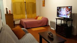 een woonkamer met een tv en een bed bij Ana Mónica Pereira in Vila Nova de Milfontes