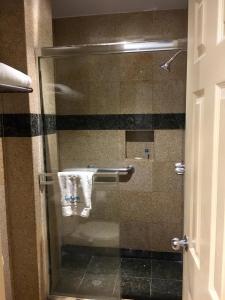 a bathroom with a shower stall and a toilet at Hotel Aqua Rio in Tijuana