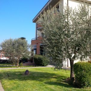 un árbol en el césped frente a un edificio en Hotel Da Vito, en Campagna Lupia