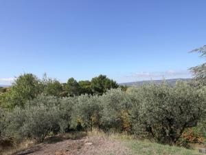 uma fileira de oliveiras no topo de uma colina em Detached holiday home with private pool in the village of Roussillon em Murs