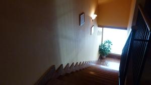 Foto dalla galleria di Agriturismo Ai Due Volti a Dossobuono