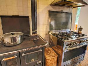 A kitchen or kitchenette at Farmhouse in Proceno with Pool Views
