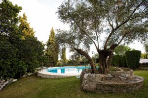 a tree in a stone pot next to a swimming pool at Hotel la Perdiz in La Carolina
