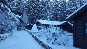 Waldsee-Ferienhaus-mit-Kamin-W-Lan v zimě + 12 fotografií