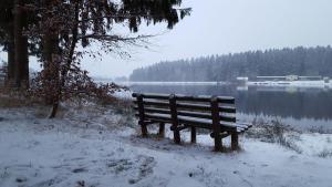 Waldsee-Ferienhaus-mit-Kamin-W-Lan v zimě