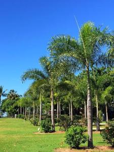 O grădină în afara Dunk Island View Caravan Park