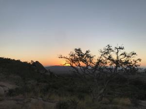 una puesta de sol en el desierto con un árbol en primer plano en Nkambeni Safari Camp, en Hazyview