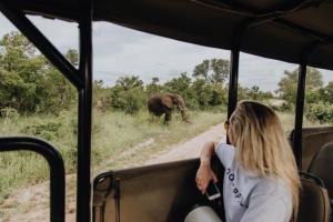 哈玆維尤的住宿－Nkambeni Safari Camp，坐在公共汽车上的女人看着路上的大象