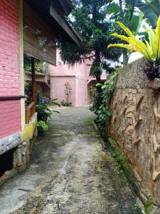 une allée devant un bâtiment rose dans l'établissement Penginapan Dinafizka, à Bogor