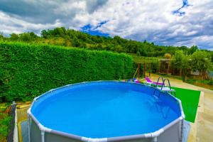 a large blue swimming pool in front of a hedge at Casa cu Muri in Târgu Ocna