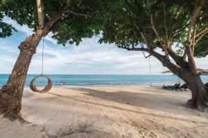 a swing hanging from a tree on a beach at King's Garden Resort - SHA Plus in Chaweng