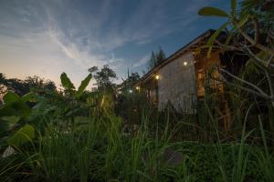 Zahrada ubytování Rumah Jembarati