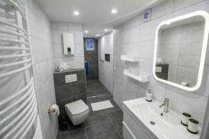 a bathroom with a sink and a toilet and a mirror at Ferienwohnung Eifelurlaub in Daun +16 photos