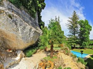 una gran roca junto a una piscina con una palmera en manoir de la malartrie, en Vézac