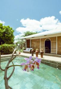 una silla con flores púrpuras sentada junto a una piscina en The River House, en Tamarin