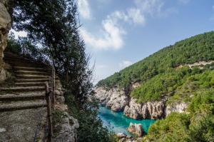 una escalera que conduce a un río en un cañón en Apartmani Popović, en Babino Polje