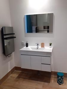 La salle de bains est pourvue d'un lavabo blanc et d'un miroir. dans l'établissement Tropical loft, au Puy-en-Velay