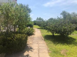 a path through an apple orchard with trees at White Sand Residence in Murta Maria
