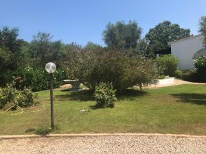 a lamp post in a yard with a bush at White Sand Residence in Murta Maria