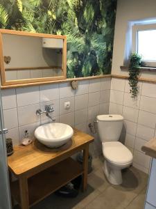 a bathroom with a white toilet and a sink at Domek pod lasem in Pogorzelica